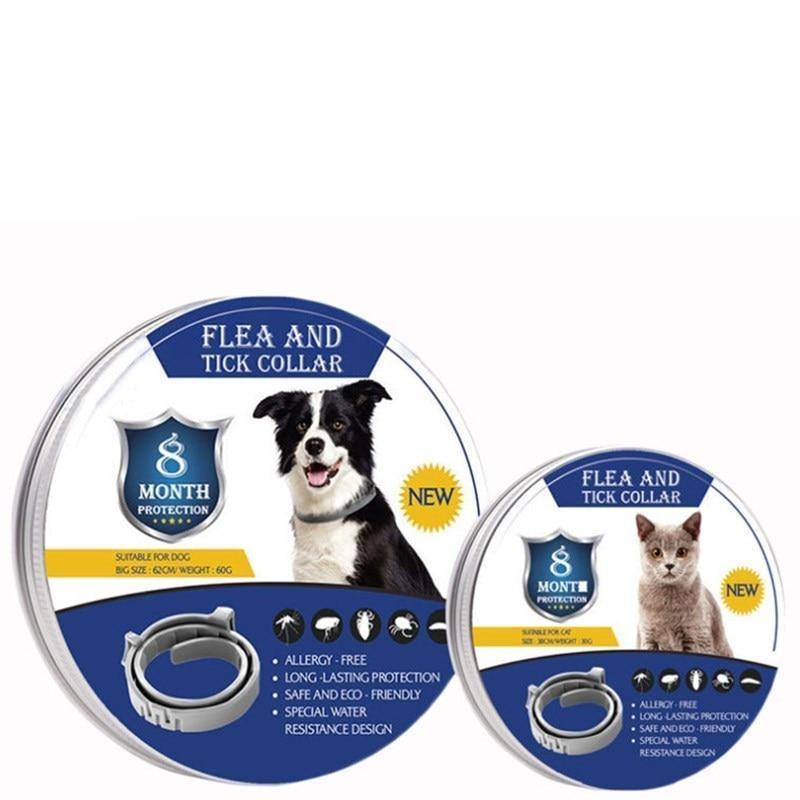 Coleira Anti Pulgas Proteção Dog - LPresentes