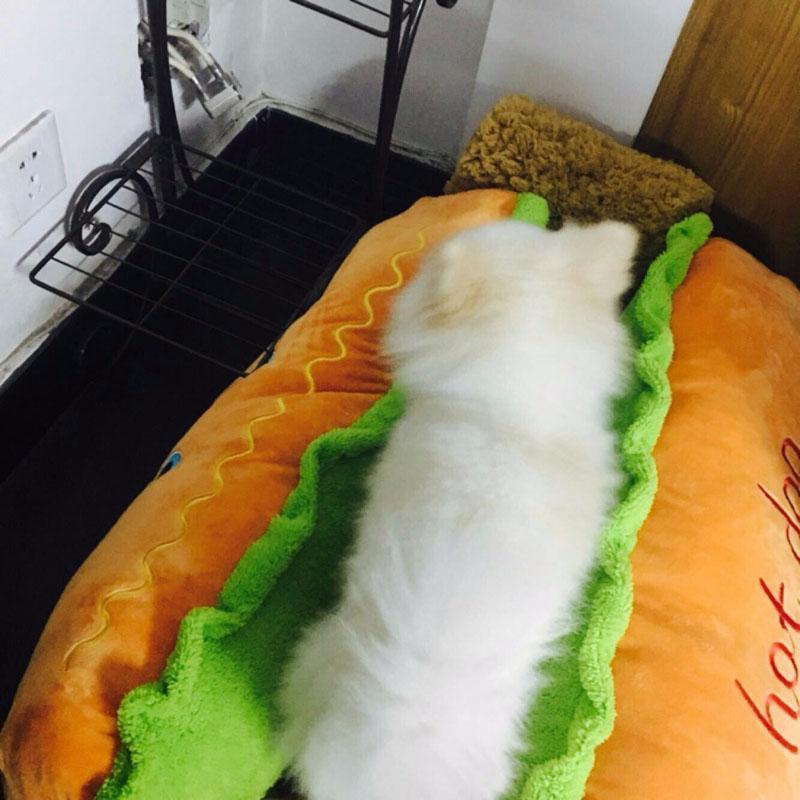 Cama para Pets - Hot Dog - LPresentes