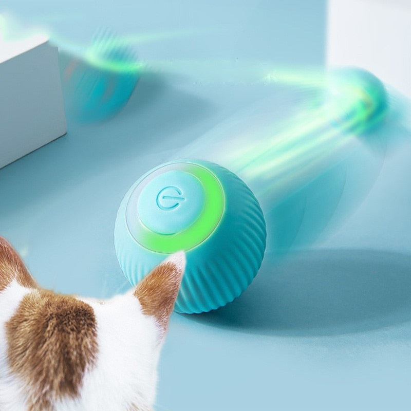 Bola Inteligente para Pet - Smart Ball™ - LPresentes