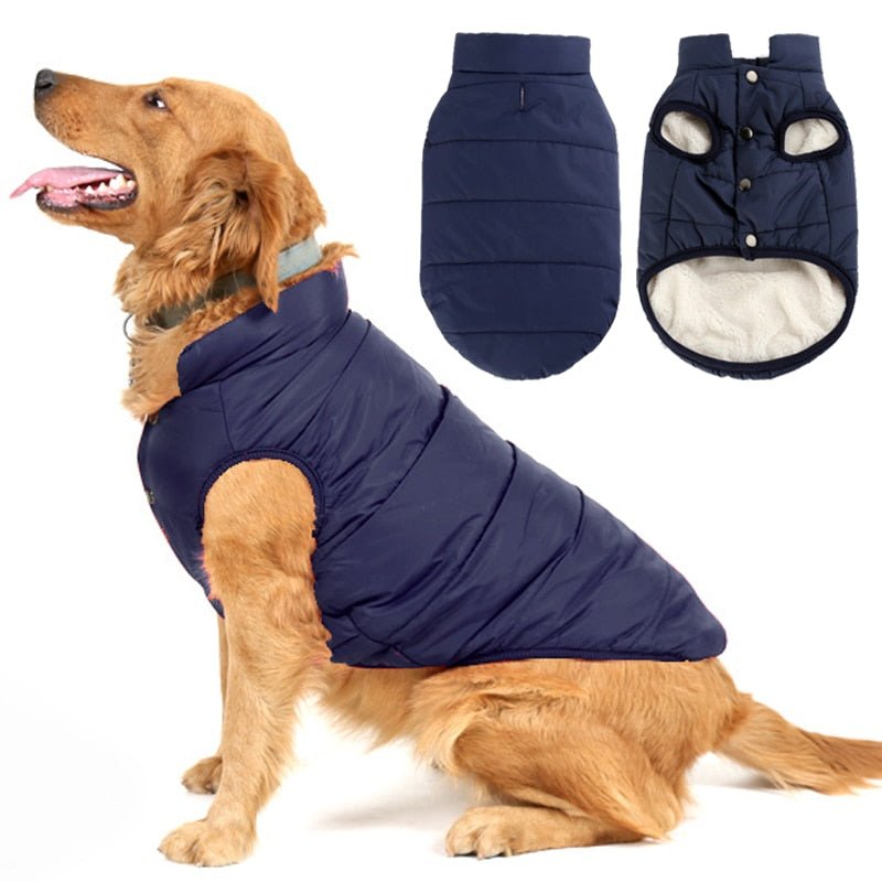 Colete Pet Steve™ | Roupa Para Cachorro - LPresentes