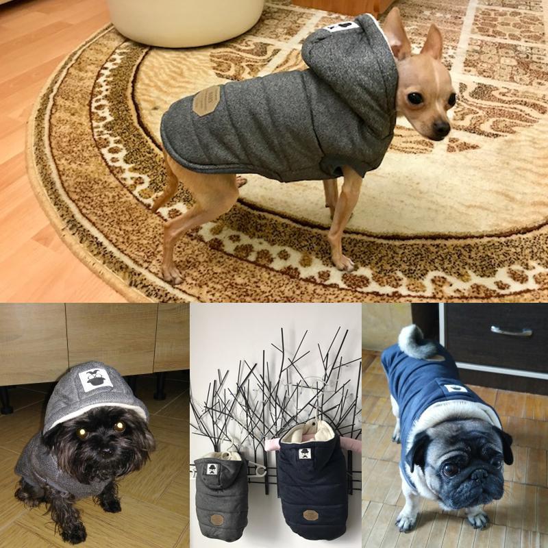 Colete de Inverno para Cachorros | Gentleman - LPresentes