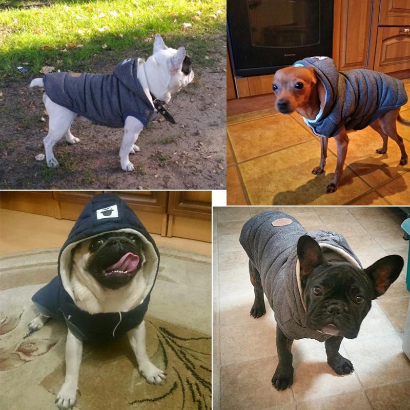 Colete de Inverno para Cachorros | Gentleman - LPresentes