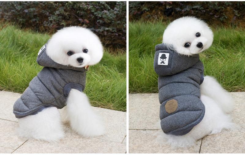 Colete de Inverno para Cachorros | Gentleman - LPresentes