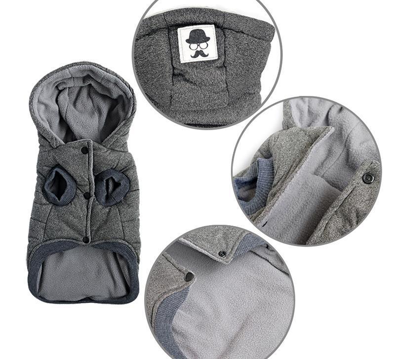 Colete de Inverno para Cachorros | Gentleman - LPresentes